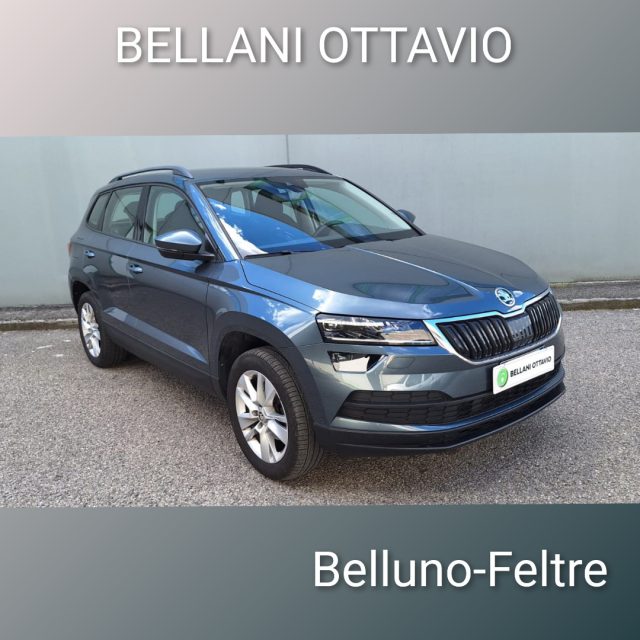 SKODA Karoq usata, con ABS