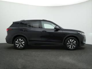VOLKSWAGEN Tiguan usata, con Sedili riscaldati