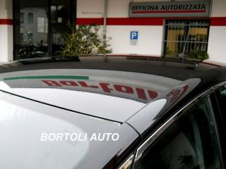 RENAULT Scenic usata, con Controllo vocale