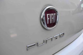 FIAT Punto usata 19
