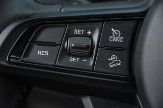 ALFA ROMEO Stelvio usata, con Portellone posteriore elettrico