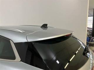 RENAULT Megane usata 29