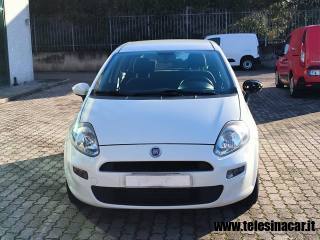 FIAT Punto usata, con Airbag Passeggero