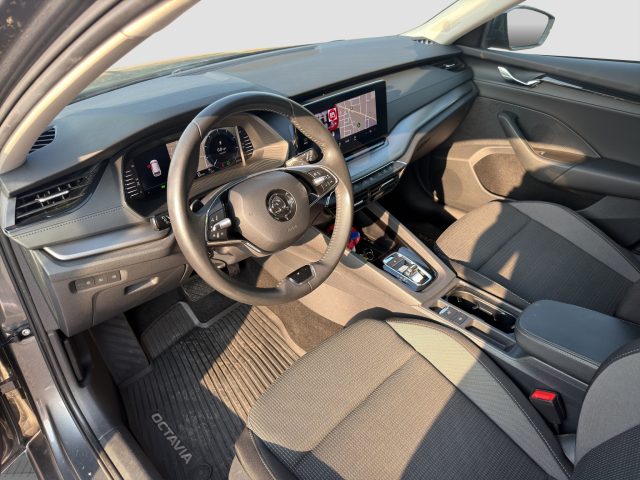 SKODA Octavia usata 8