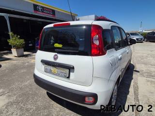 FIAT Panda usata, con Volante multifunzione