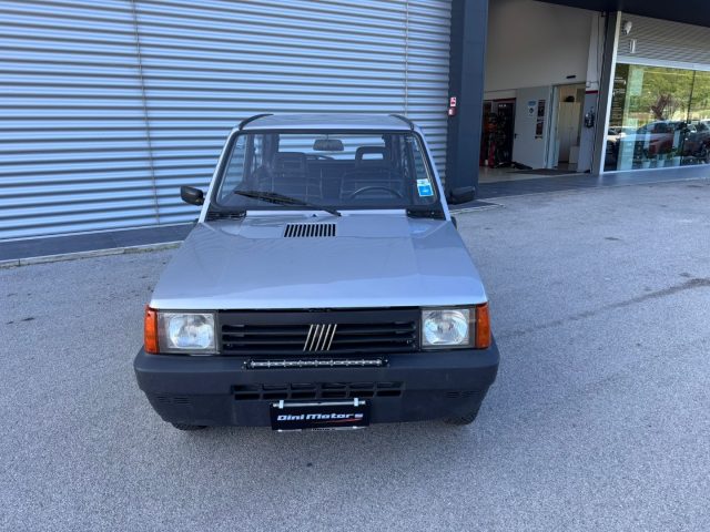 FIAT Panda usata, con Fendinebbia