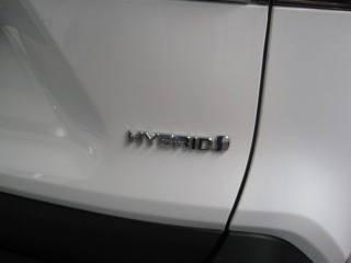 TOYOTA RAV 4 MY23 usata, con Fendinebbia