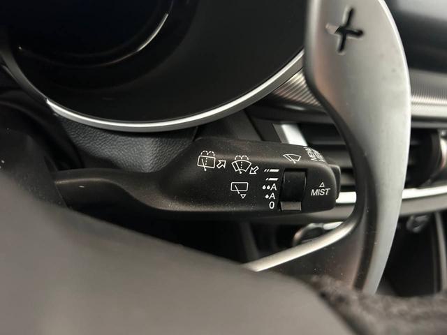 ALFA ROMEO Stelvio usata, con Immobilizzatore elettronico