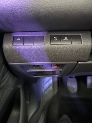 PEUGEOT 5008 usata 13