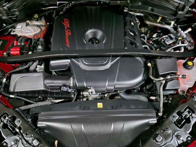 ALFA ROMEO Stelvio usata, con ESP