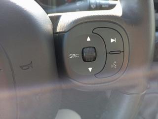 FIAT Panda Cross usata, con Immobilizzatore elettronico