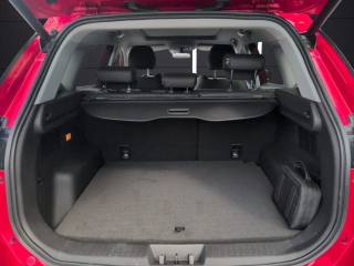DR MOTOR DR 6.0 usata, con Bracciolo