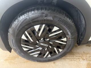 FIAT 600 usata, con Bracciolo