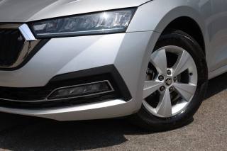 SKODA Octavia usata, con Fendinebbia