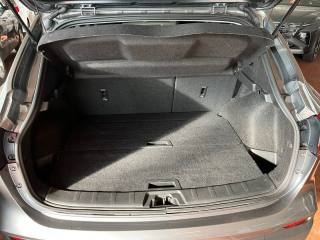 NISSAN Qashqai usata, con Fendinebbia