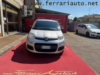 FIAT Panda usata, con Fendinebbia
