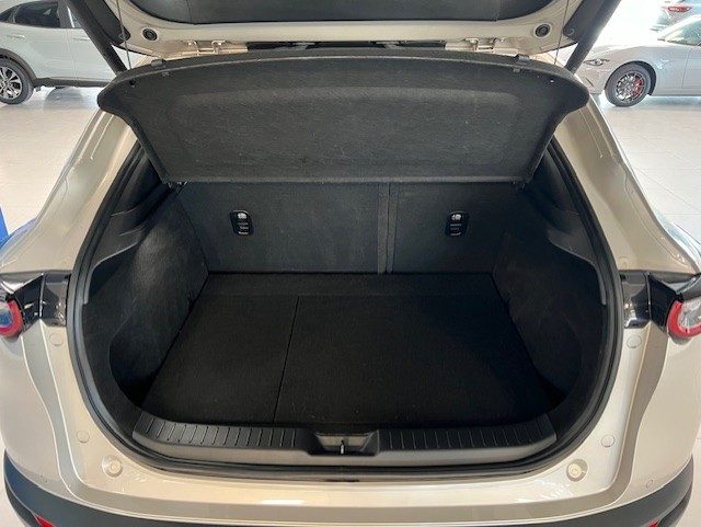 MAZDA CX-30 usata, con Interni in pelle