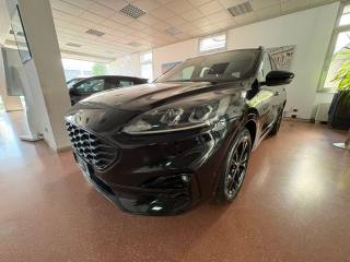 FORD Kuga usata, con Chiusura centralizzata