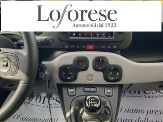 FIAT Panda Cross usata, con Controllo trazione