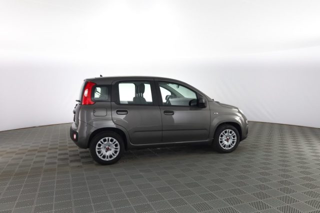 FIAT Panda usata 2