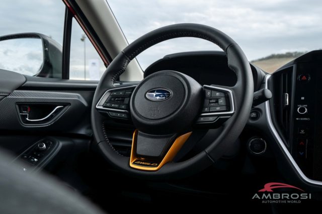 SUBARU Crosstrek usata 14