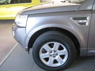 LAND ROVER Freelander usata, con Fendinebbia