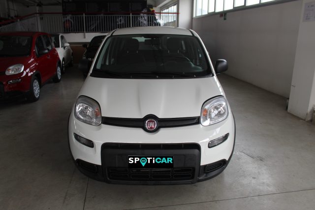 FIAT Panda usata, con Airbag