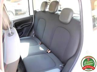 FIAT Panda usata, con Vetri oscurati