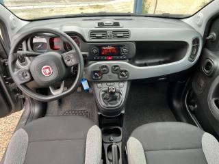 FIAT Panda usata 15