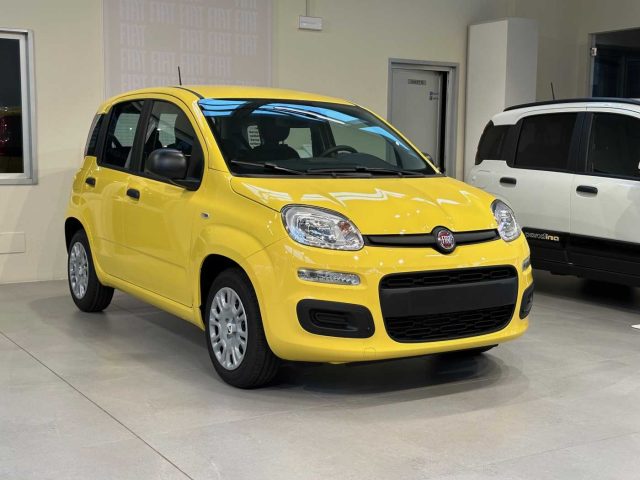 FIAT Panda usata, con Controllo trazione