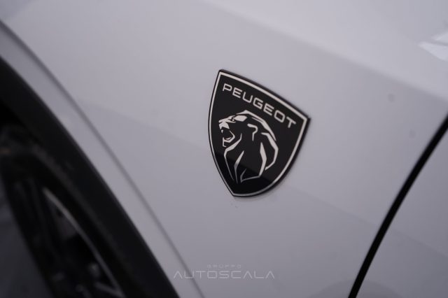 PEUGEOT 3008 usata 36