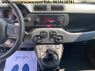 FIAT Panda usata 25