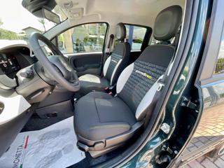 FIAT Panda usata, con Controllo trazione