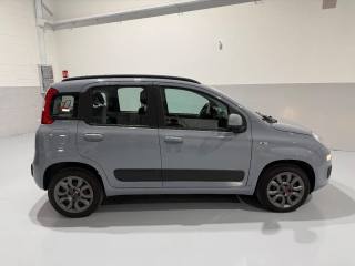 FIAT Panda usata, con Climatizzatore
