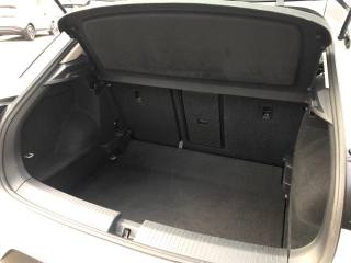 VOLKSWAGEN T-Roc usata, con Adaptive Cruise Control