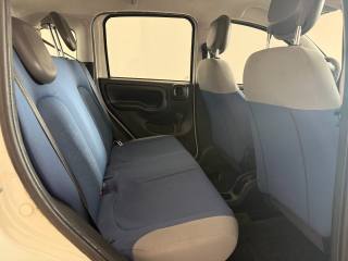 FIAT Panda usata 12