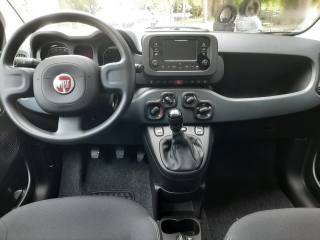 FIAT Panda usata, con USB