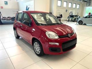 FIAT Panda usata, con Controllo trazione