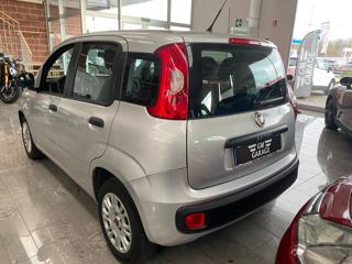 FIAT Panda usata, con Climatizzatore