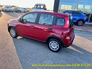 FIAT Panda usata, con Alzacristalli elettrici