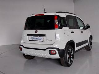 FIAT Panda Cross usata, con Fendinebbia