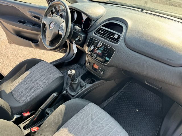 FIAT Punto usata 13