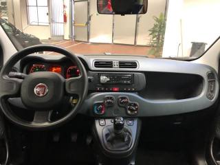 FIAT Panda usata, con Airbag testa