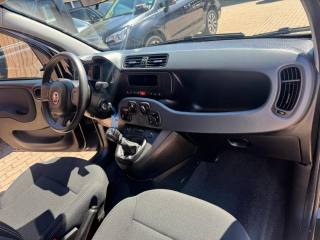 FIAT Panda usata, con Immobilizzatore elettronico
