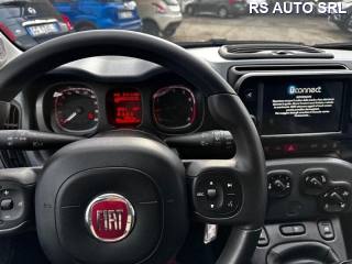 FIAT Panda Cross usata, con Controllo trazione
