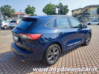 FORD Kuga usata, con Airbag testa