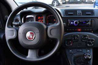 FIAT Panda usata, con Controllo trazione