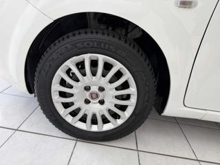 FIAT Punto usata 17