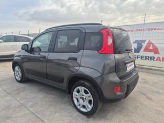 FIAT Panda usata, con Airbag Passeggero