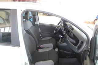 FIAT Panda usata, con Chiusura centralizzata